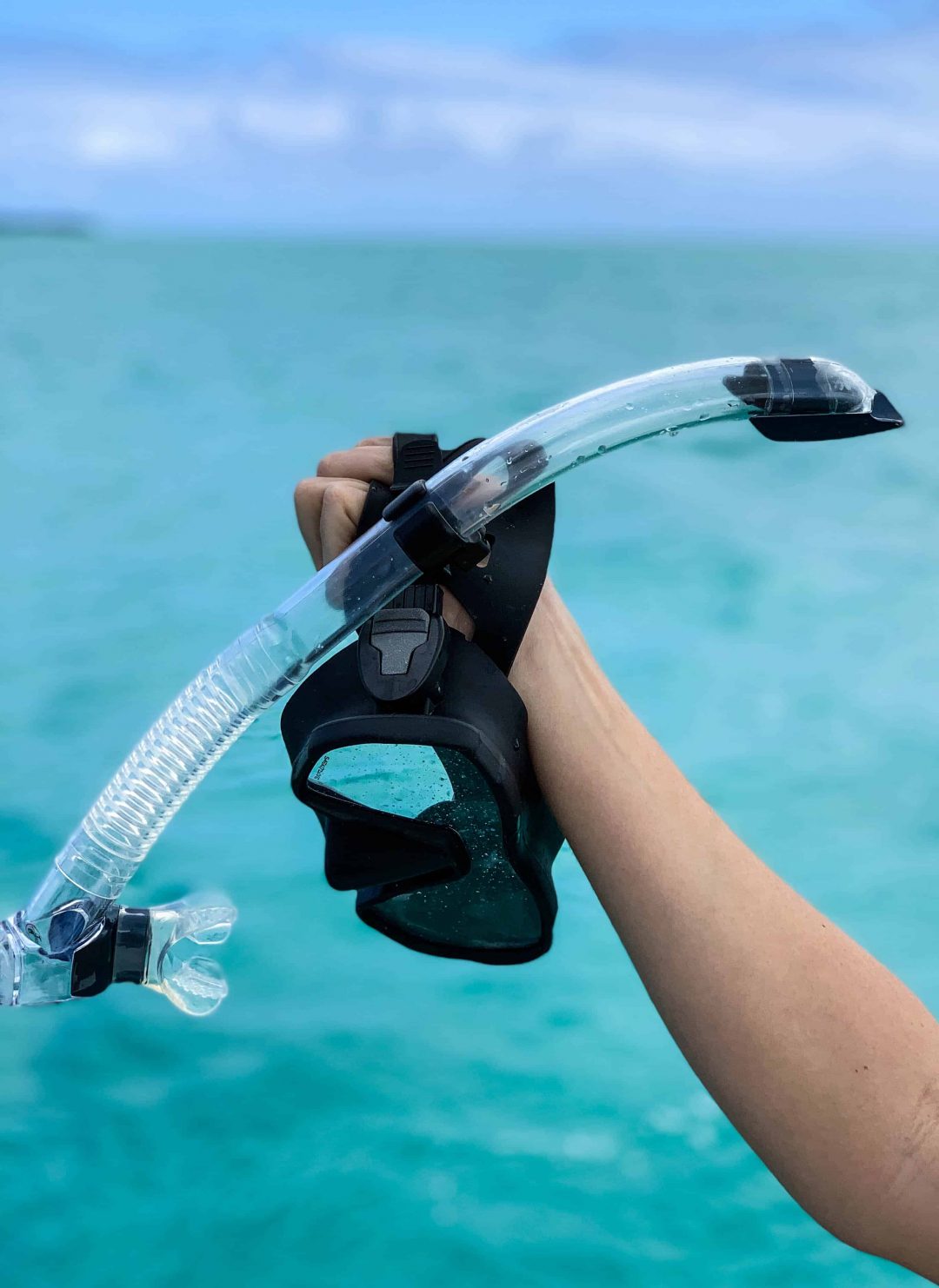 Discovery of Mauritius – Day 3